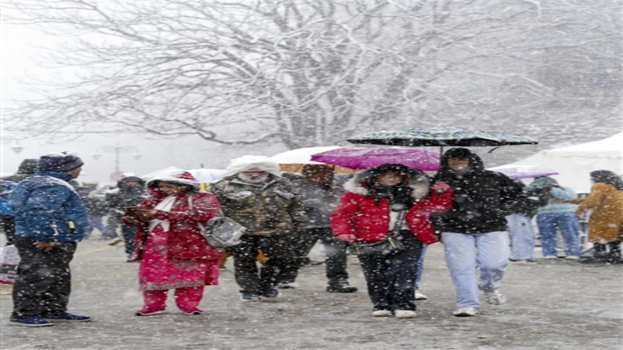 IN PHOTOS: Shimla covered in fresh snow, a winter paradise for tourists