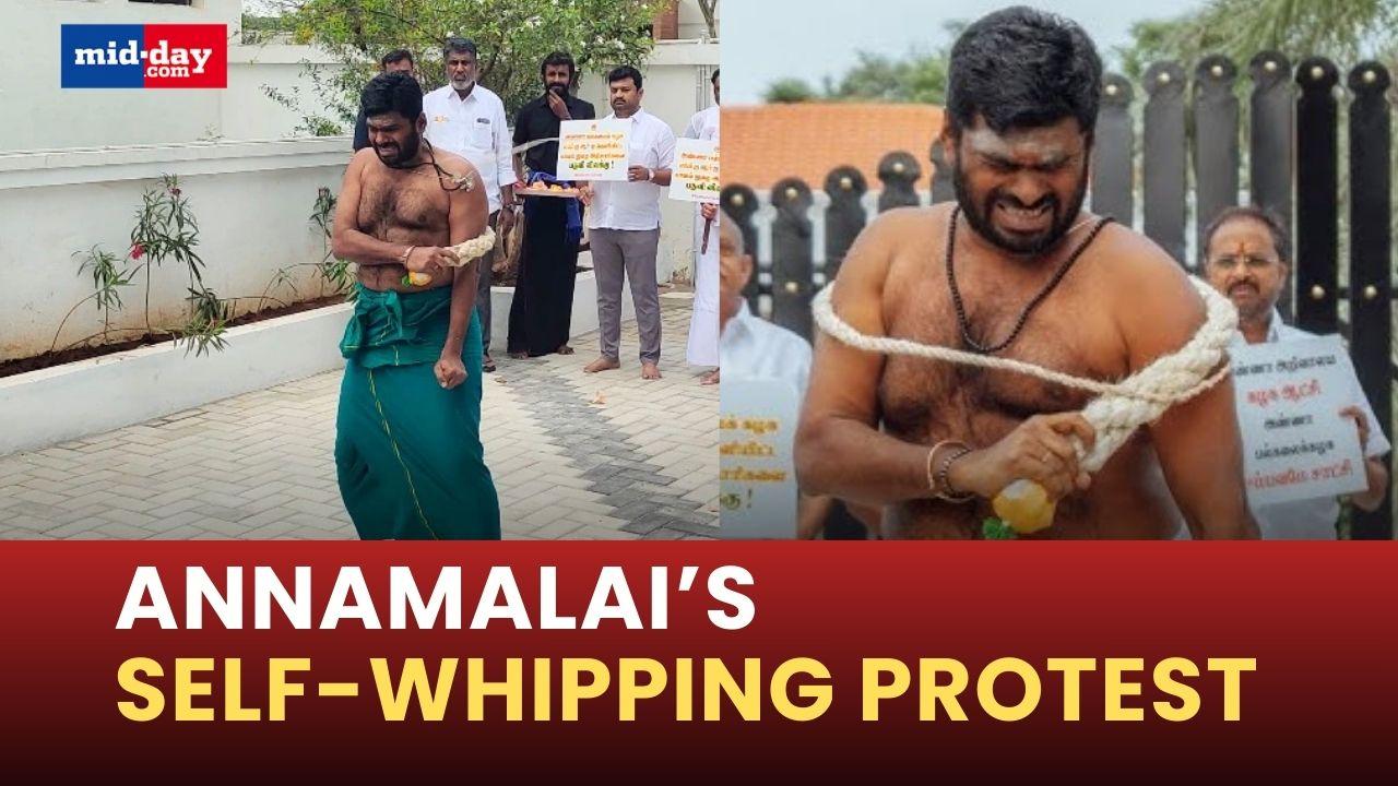 Anna University Assault Case: Annamalai self-whips to lodge a strong protest