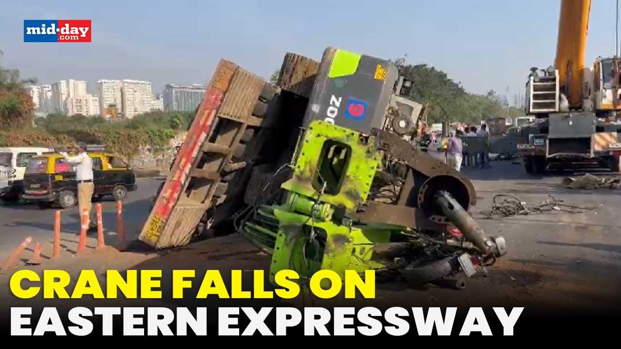 Mumbai: Motorcyclist injured after crane falls on Eastern Expressway