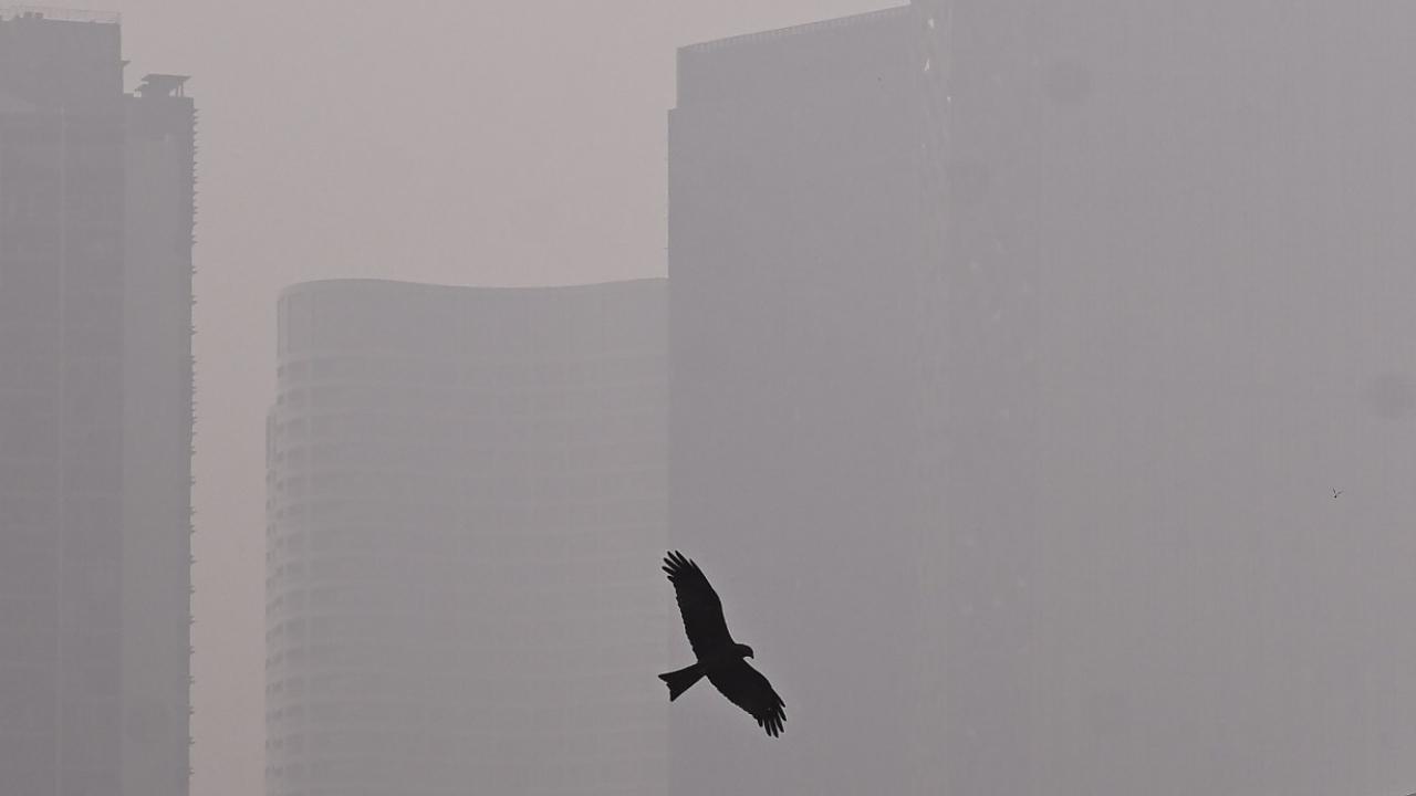 IN PHOTOS: Mumbai's Dadar and Lower Parel obscured by smog