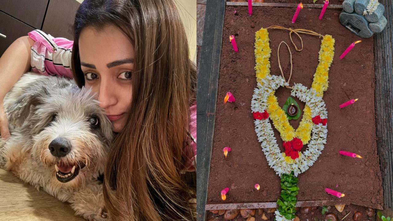 Trisha's pet dog Zorro passes away: 'Will be taking some time off work'