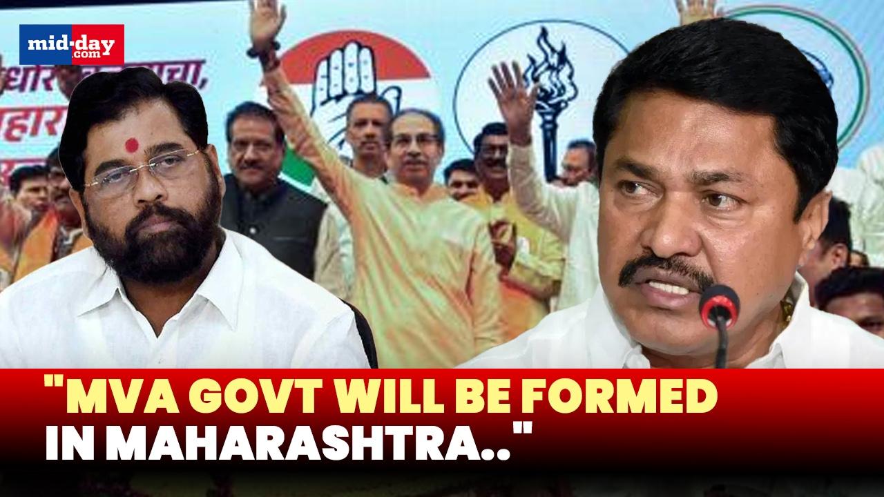 Nana Patole claims Congress will win majority in Maharashtra - WATCH