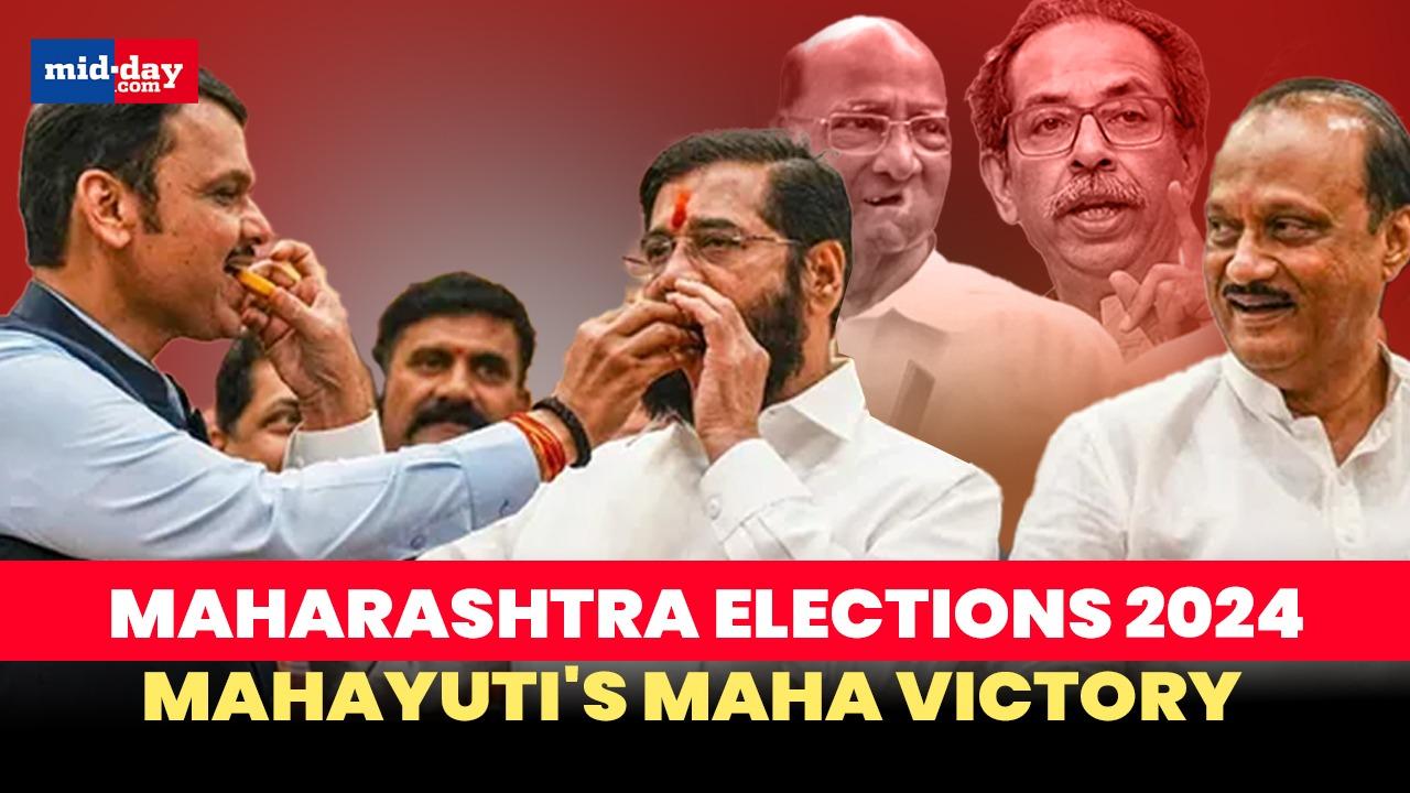 Maharashtra elections 2024: Mahayuti's historic win, Watch key highlights