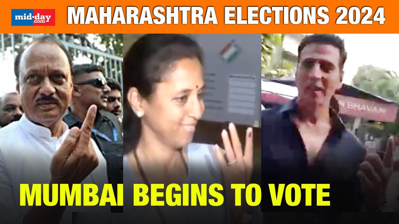 Maharashtra Assembly polls 2024: Ajit Pawar, Ashish Shelar & others cast vote