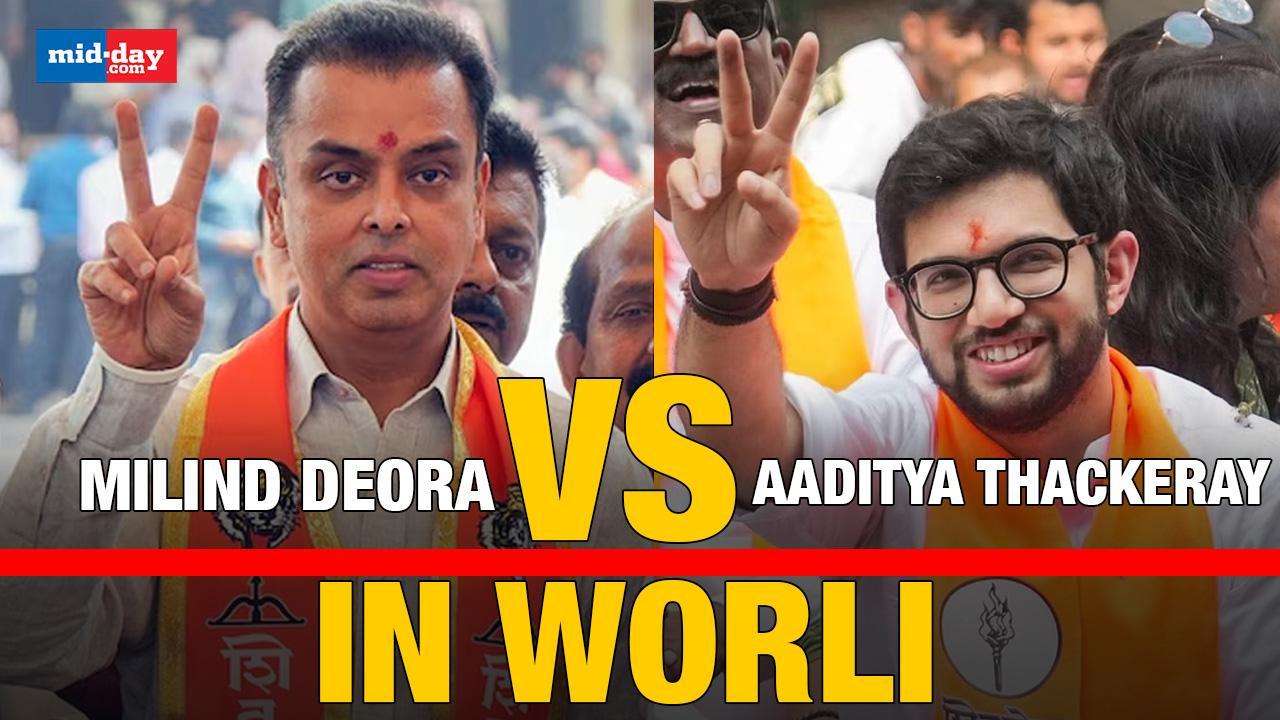 Maharashtra elections 2024: Aaditya Thackeray Vs Milind Deora in Worli!