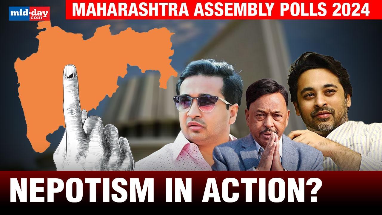 Maharashtra Assembly Polls 2024: BJP's family power play sparks outrage