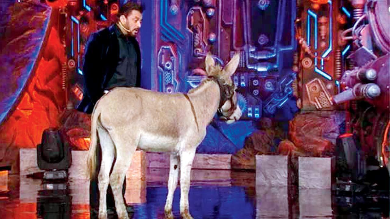 PETA India VP urges filmmakers to use CGI after criticising Bigg Boss 18’s use of a donkey