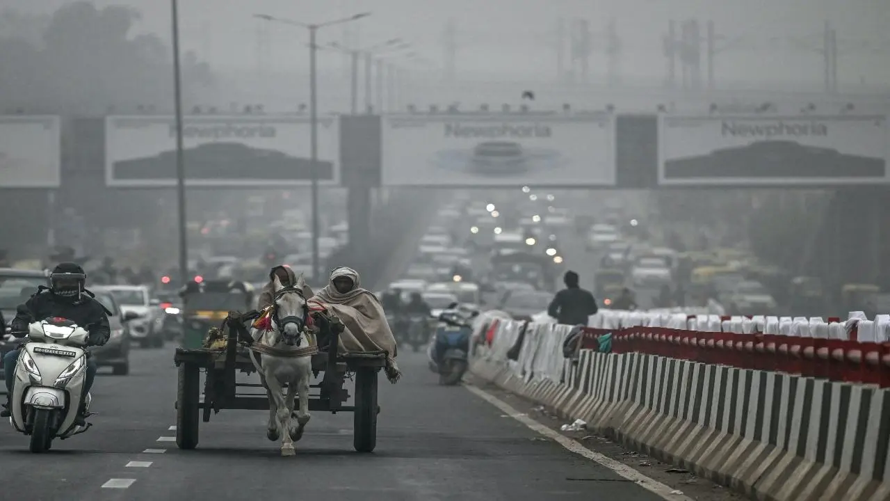 Dense fog blankets Delhi for third day, 51 trains delayed