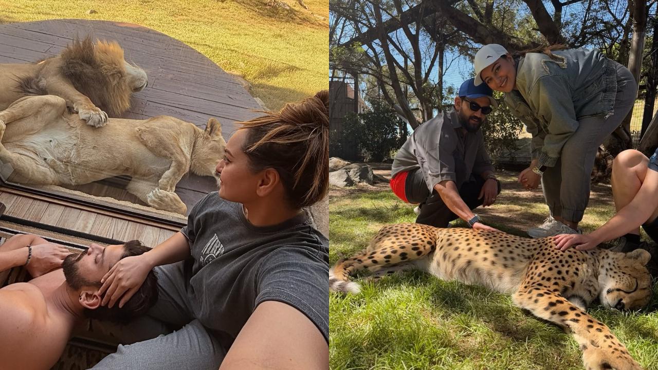 Sonakshi Sinha, Zaheer Iqbal ‘sleep’ next to lions at Australian wildlife lodge